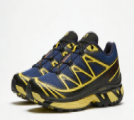 Salomon casual shoes